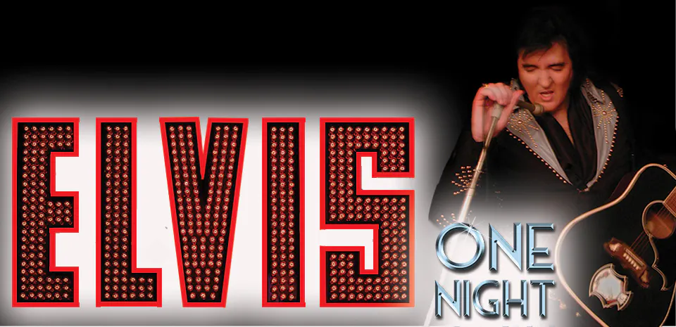Elvis: One Night