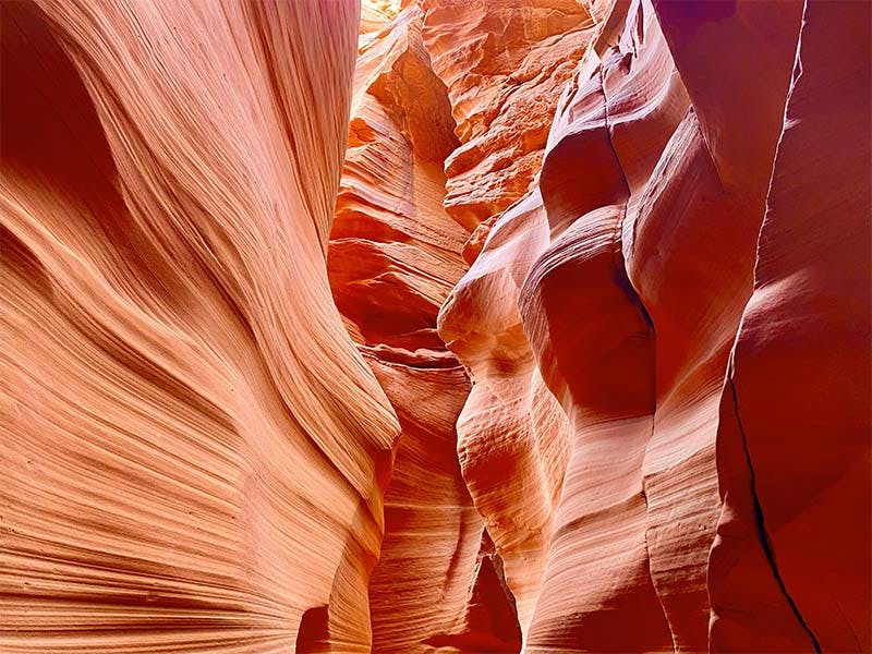 Antelope Canyon X & Horseshoe Bend Tour