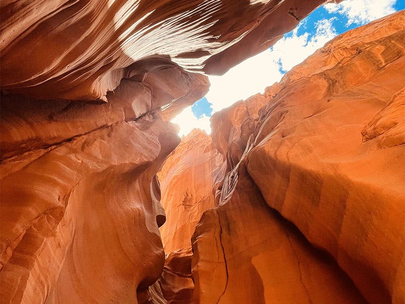 Antelope Canyon X & Horseshoe Bend Tour