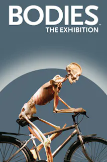 Get tickets for Bodies... The Exhibition at Luxor in Las Vegas