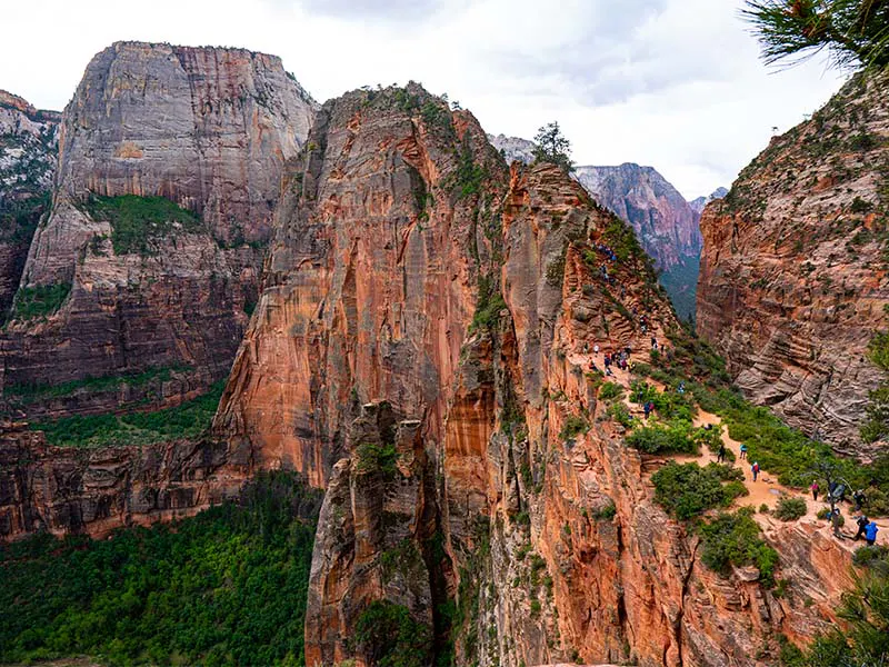 Bryce Canyon and Zion National Parks Day Tour