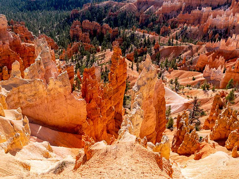 Bryce Canyon and Zion National Parks Day Tour