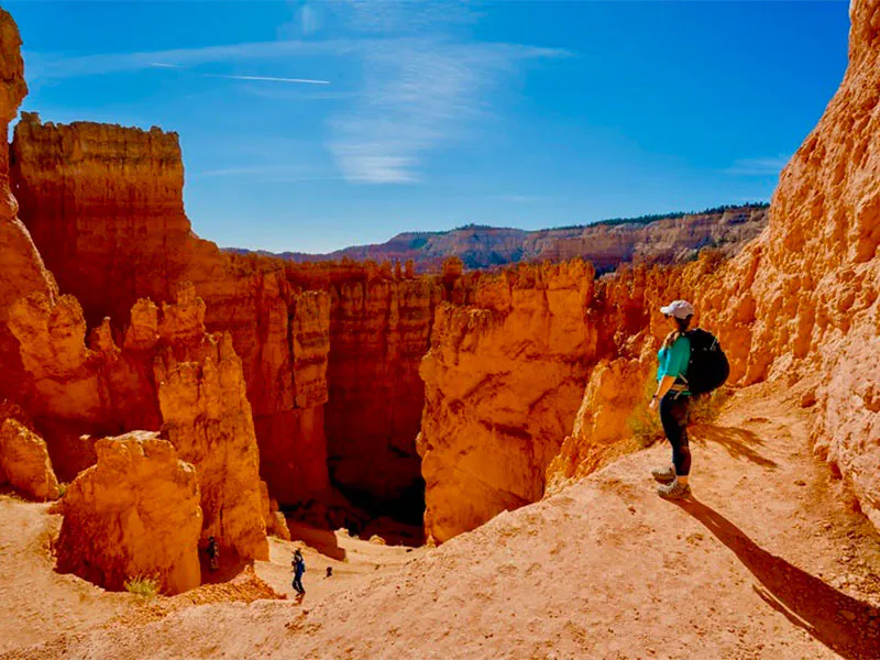 Bryce Canyon and Zion National Parks Day Tour