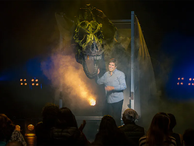 David Copperfield live show
