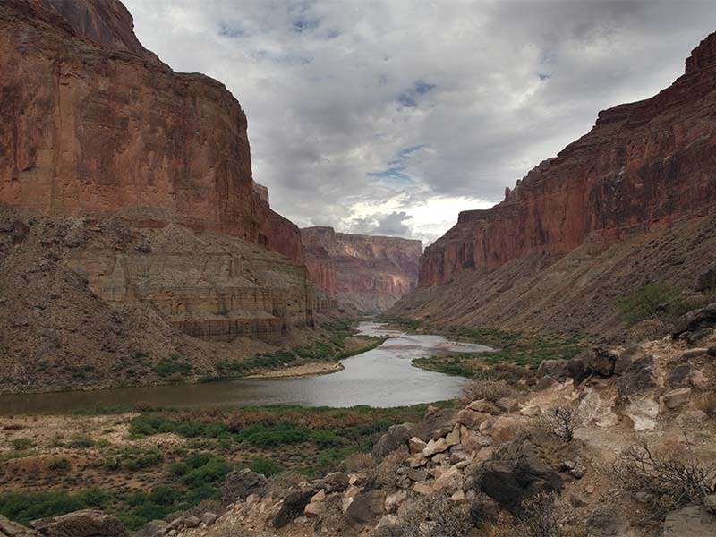Grand Canyon South Rim Bus Tour