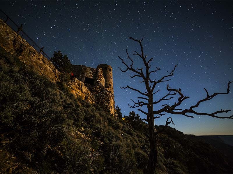 Grand Canyon South Rim Bus Tour