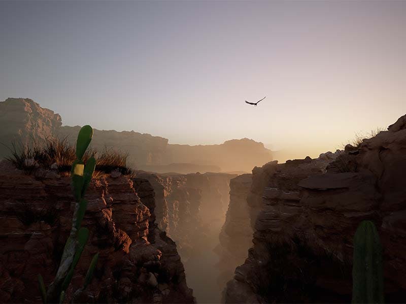 Grand Canyon South Rim Bus Tour