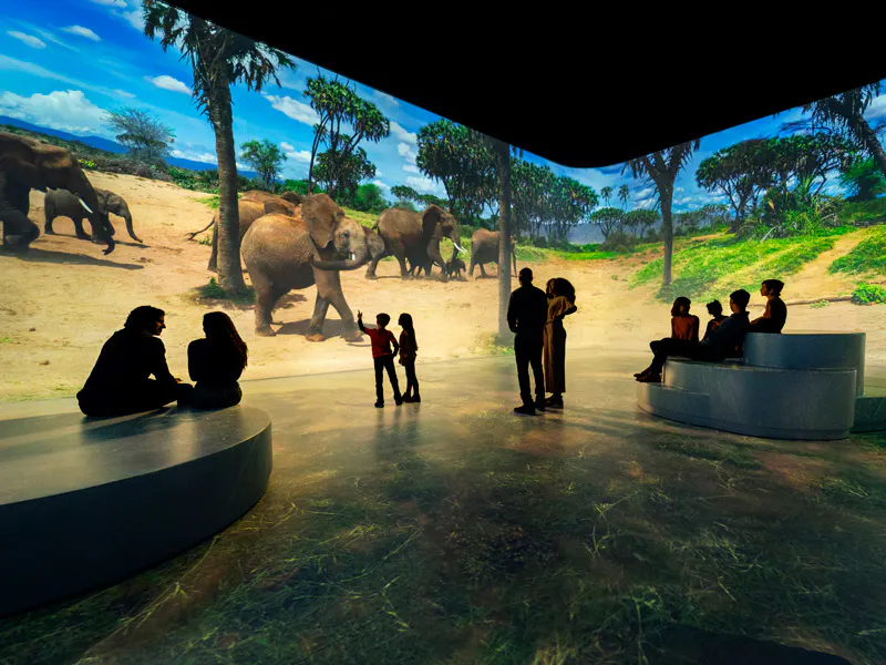 Illuminarium WILD: A Safari Experience