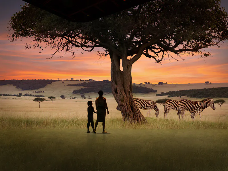 Illuminarium WILD: A Safari Experience