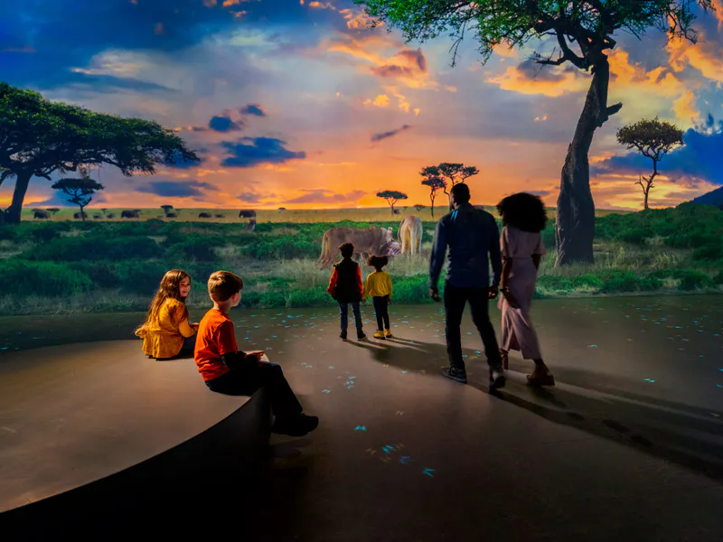 Illuminarium WILD: A Safari Experience