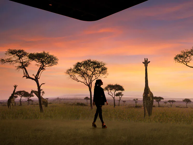 Illuminarium WILD: A Safari Experience