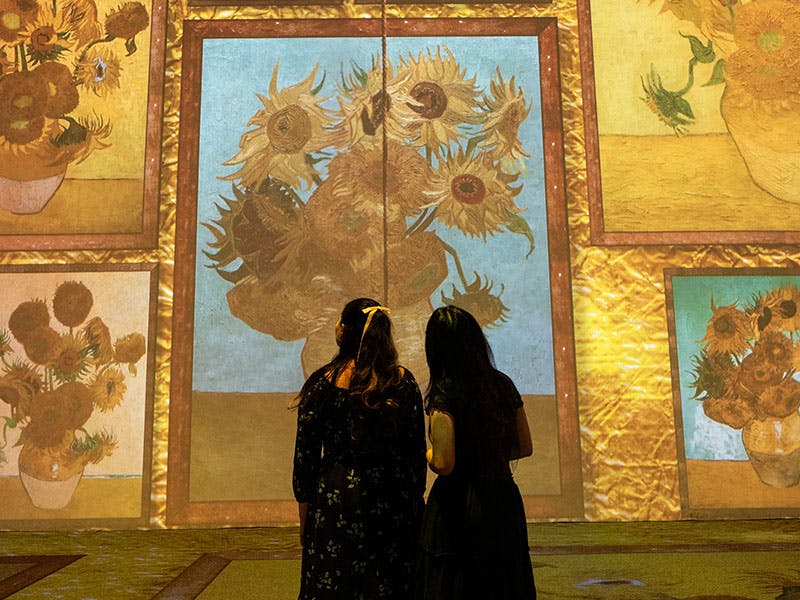 The New Immersive Van Gogh: The Next Chapter