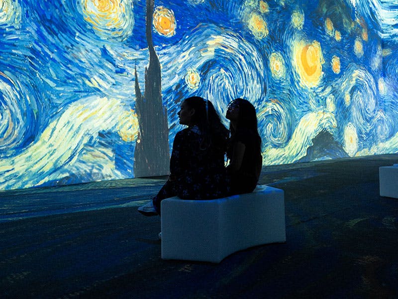 The New Immersive Van Gogh: The Next Chapter Las Vegas attraction activity