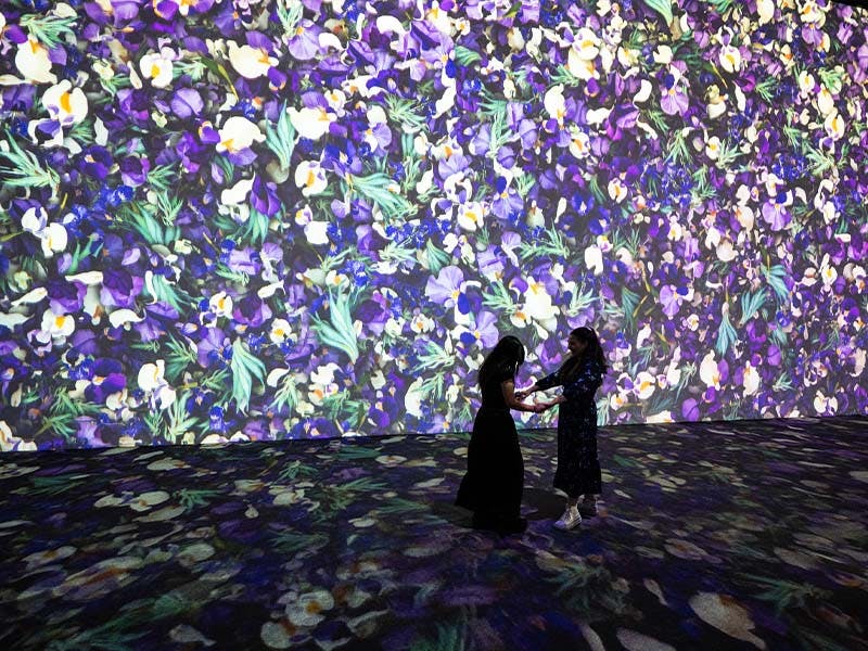 Immersive Las Vegas Van Gogh activity