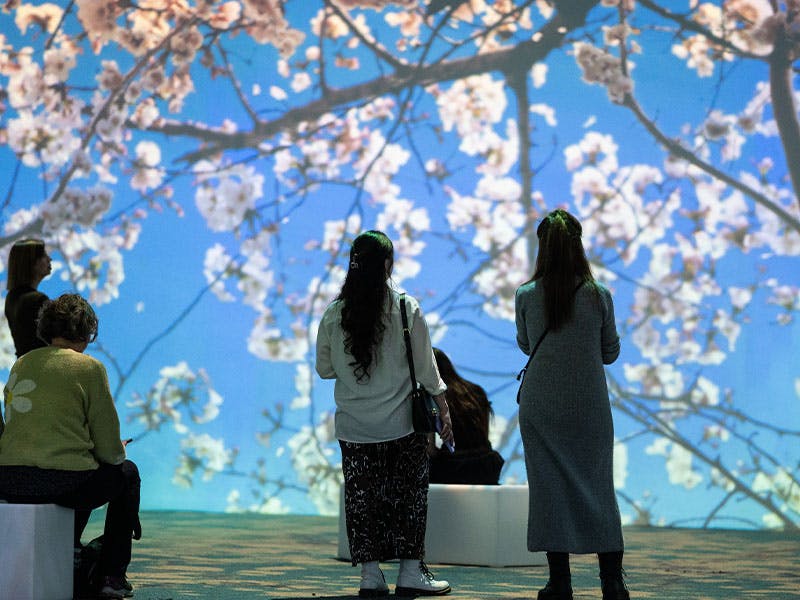 Van Gogh activity on Las Vegas Strip