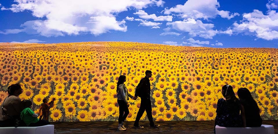 The New Immersive Van Gogh: The Next Chapter