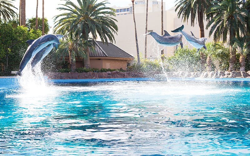 Secret Garden Slideshow 16