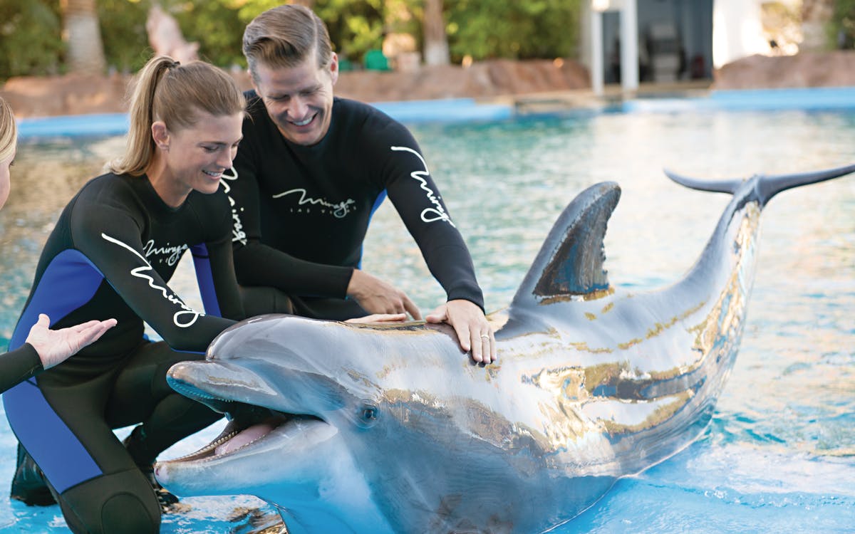 Siegfried and Roy's Secret Garden Habitat