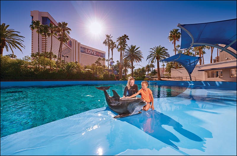 Siegfried and Roy's Secret Garden Habitat