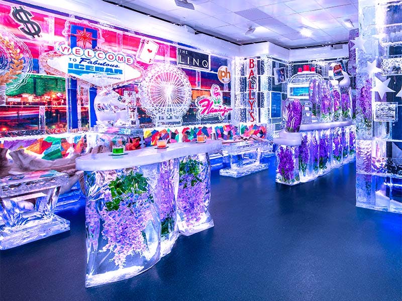 Minus5 Ice Experience!