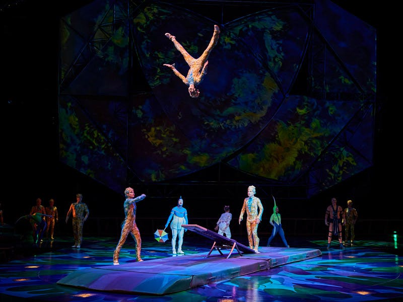Mystère by Cirque du Soleil