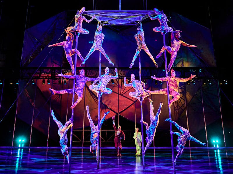 Mystère by Cirque du Soleil