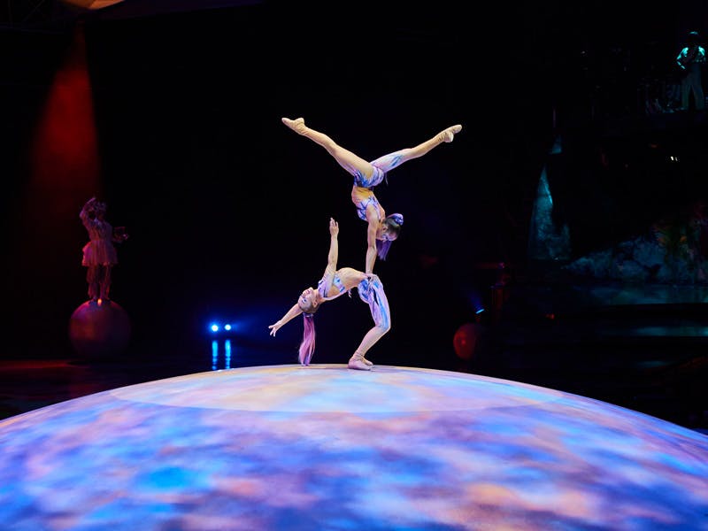 Mystère by Cirque du Soleil