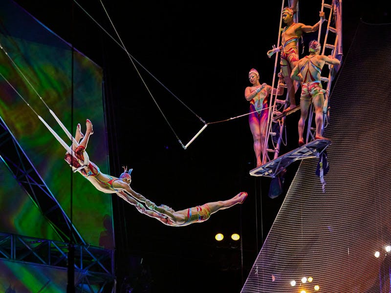 Mystère by Cirque du Soleil