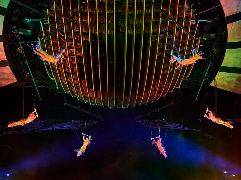 Mystère by Cirque du Soleil