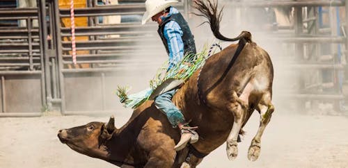 National Finals Rodeo live in Las Vegas at Thomas and Mack Center.
