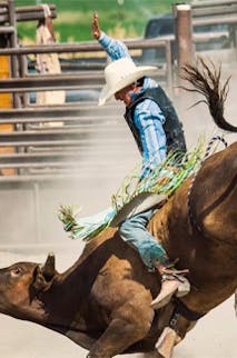 The iconic National Finals Rodeo takes place in Las Vegas.