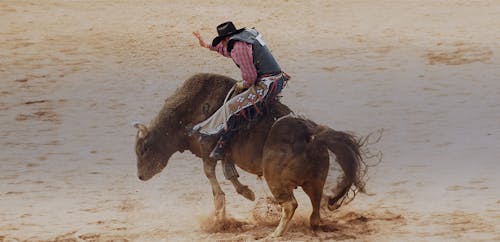 PBR Team Series in Las Vegas - Live rodeo at T-Mobile Arena