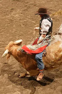 Watch the PBR Team Series Championship at T-Mobile Arena in Las Vegas
