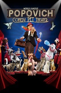 Gregory Popovich's Comedy Pet Theater