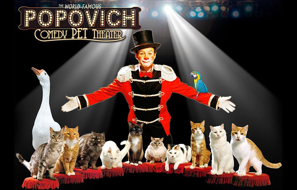 Popovich Comedy Pet Theater