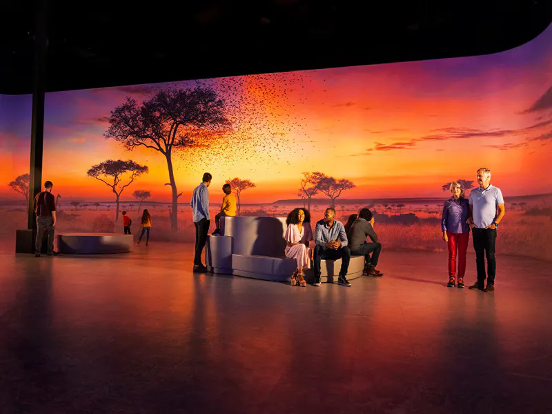 Illuminarium WILD: A Safari Experience