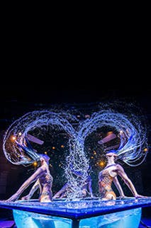 WOW The Vegas Spectacular Variety Show live in Las Vegas at the Rio Showroom