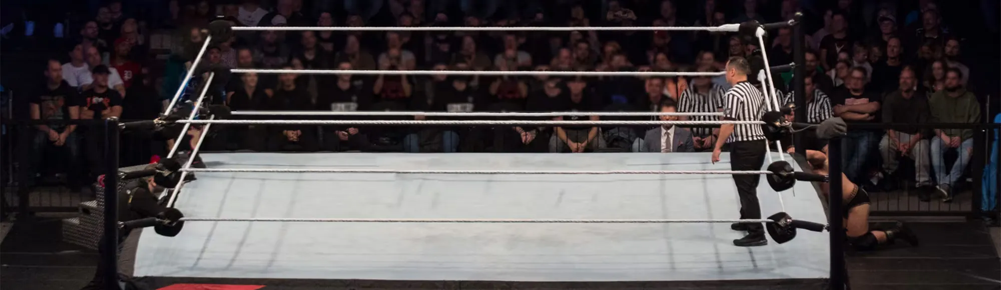 WWE NXT Stand and Deliver live in Las Vegas