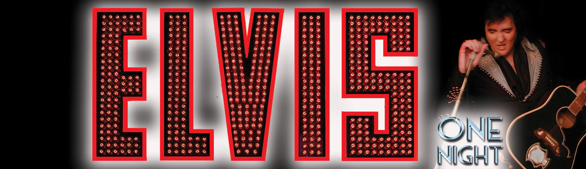 Elvis: One Night