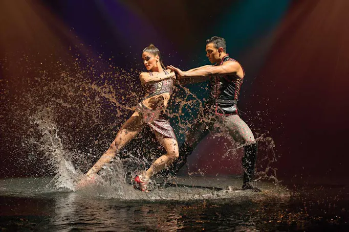 Le Rêve - The Dream