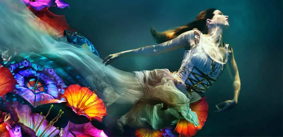 Le Rêve - The Dream