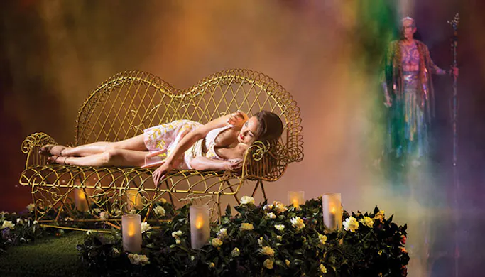 Le Rêve - The Dream