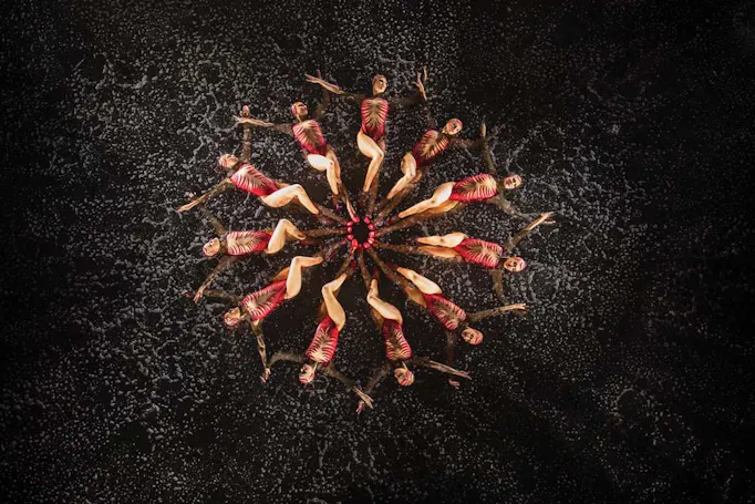 Le Rêve - The Dream