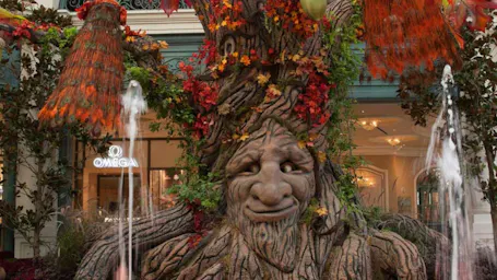 Bellagio Conservatory