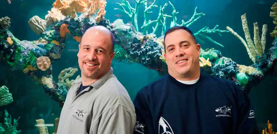 Tanked