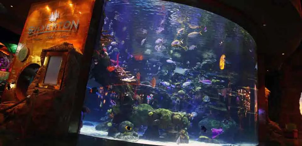 Silverton Aquarium