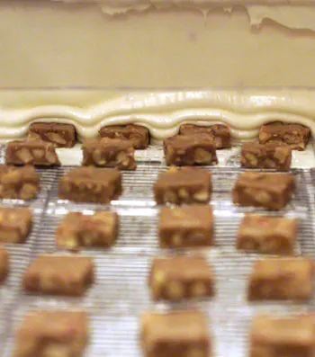 Ethel M Chocolate Factory
