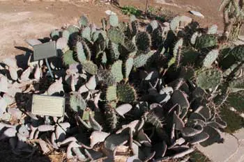 Old Las Vegas Mormon Fort Historic Park