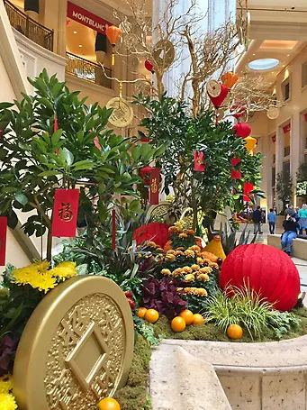 Palazzo Waterfall Atrium and Garden