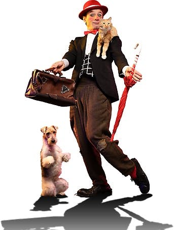 Popovich Comedy Pet Theater